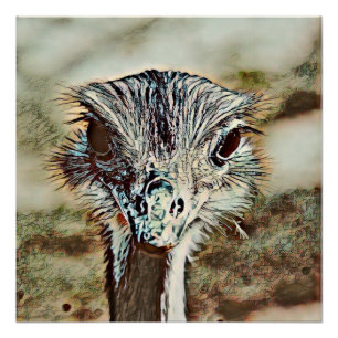 Póster toony ostrich