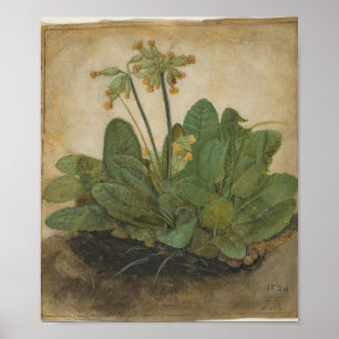 Poster Topete de Cowslips por Albrecht Durer