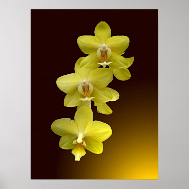 Póster Toque de Oriental (Frente)