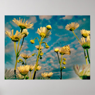 Poster Toque de poeira mágica