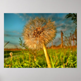 Póster Toque de poeira mágica