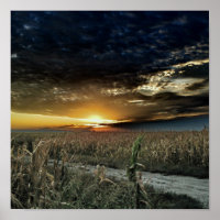 Toque de poeira mágica de Oz