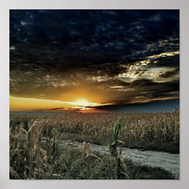 Póster Toque de poeira mágica de Oz (Frente)