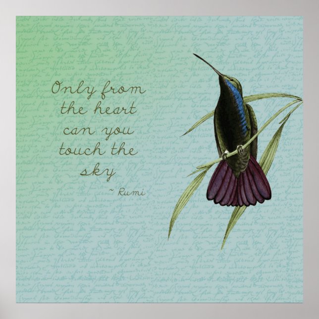 Póster Toque no Céu Hummingbird (Frente)