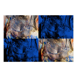 Póster tórax carnaval