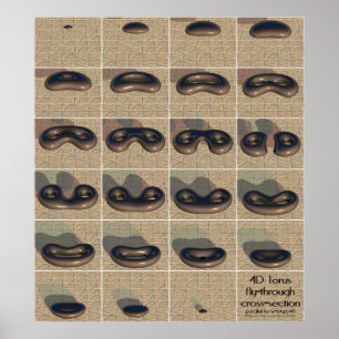 Póster toro 4D mosca-através do secção transversal