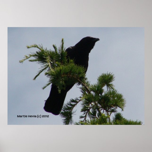 Poster Torre Crow Watch (Frente)