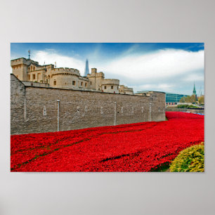 Poster Torre de Londres Poppies Red Poppy