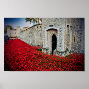 Poster Torre de Londres Red Poppies Inglaterra Reino Unid