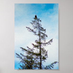 Póster Torre de monitoração