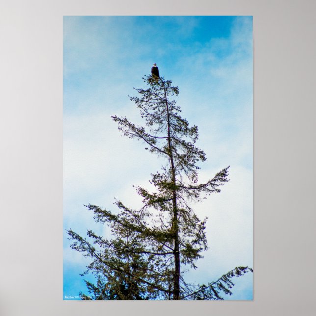 Póster Torre de monitoração (Frente)