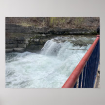 Torrey New York Finger Lagos