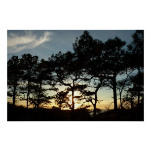 Póster Torrey Pine Sunset II, área da Califórnia