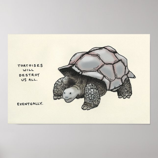 Poster tortoise trivia (Frente)