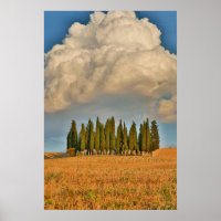 Toscana Rural Árvores de Cipreste
