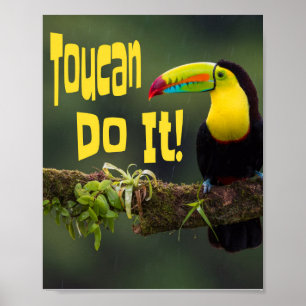 Poster Toucan Faça Isso! Pun Motivacional Colorido