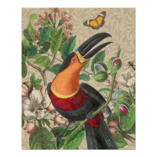 Póster Toucan Jungle Tropical Bird Belo Antiquado