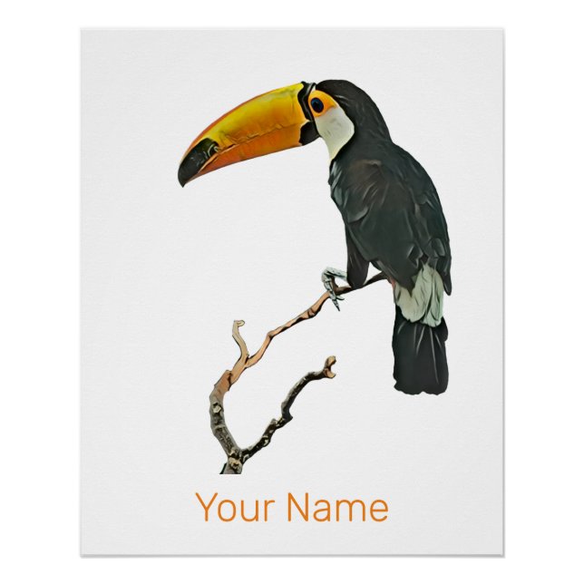 Póster Toucan Retrait Animal Tropical Bird Design (Frente)