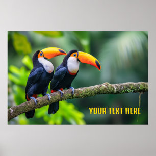 Poster Toucans tropicais de texto personalizado