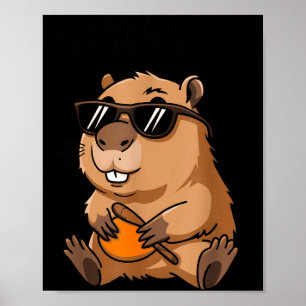 Poster Toupeira Engraçada Ok Eu Chego Com Sungles