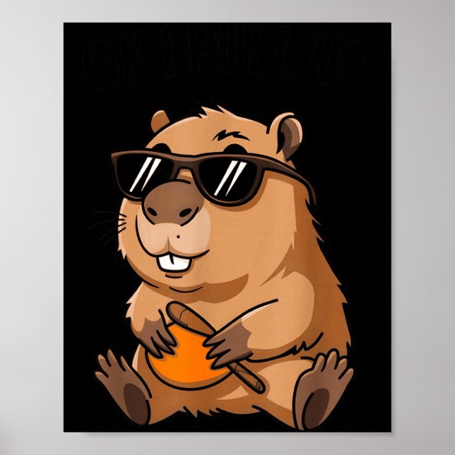 Poster Toupeira Engraçada Ok Eu Chego Com Sungles  (Frente)