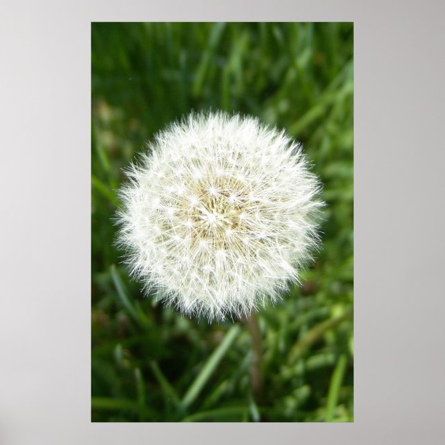 Poster touro (Frente)