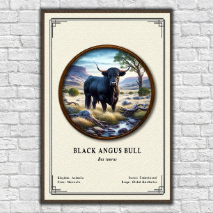 Poster Touro Black Angus Série de Zoologia