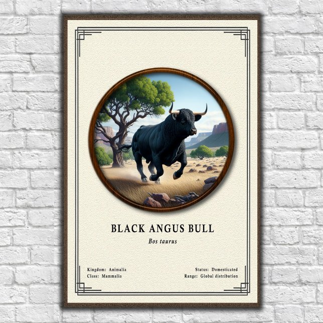 Poster Touro Black Angus Série de Zoologia (Criador carregado)