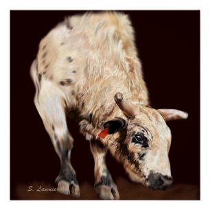 Póster Touro de Rodeio Branco Saltando