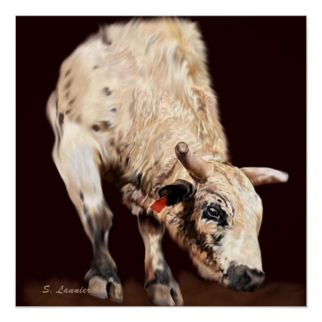 Póster Touro de Rodeio Branco Saltando (Frente)