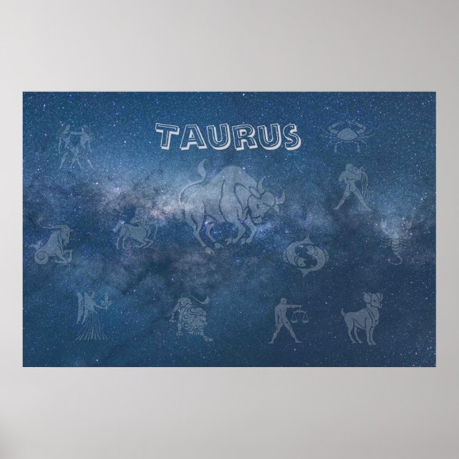 Poster Touro Transparente (Frente)