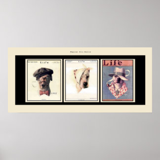 Póster Touros de Pit Famosos