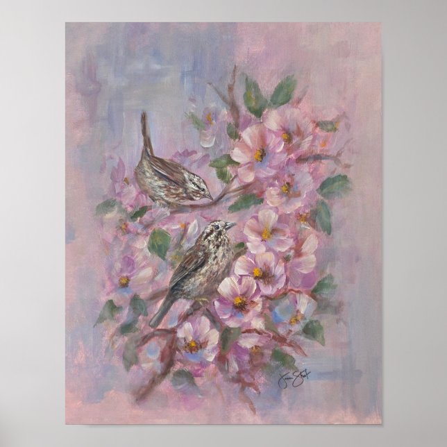 Poster Toutinegra-americana (Frente)