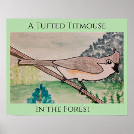 Poster Toutinegra-de-poupa na Floresta