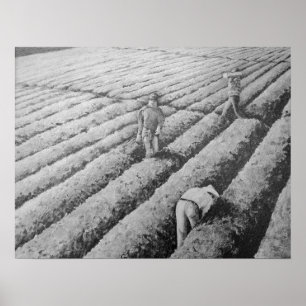 Póster Trabalhadores Migrantes Mexicanos em Watsonville