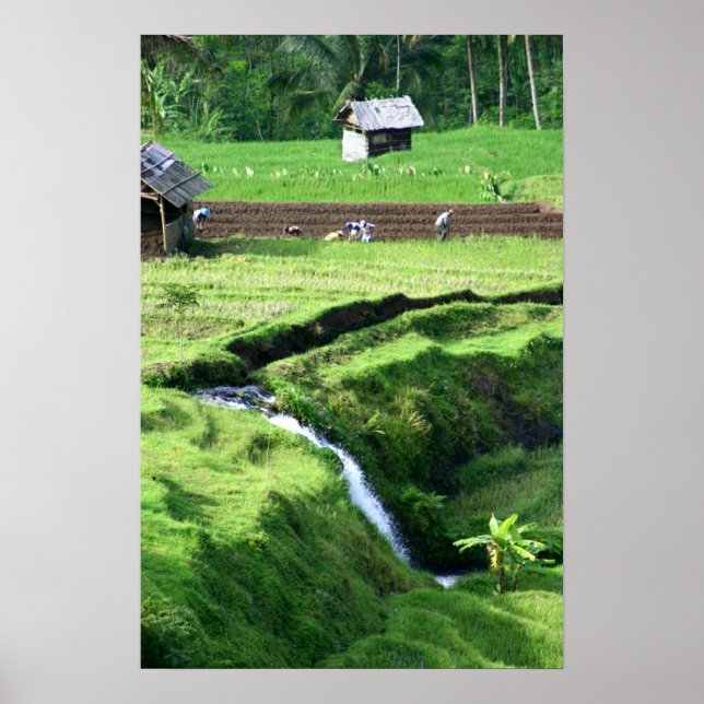 Póster Trabalhando nos Campos (Frente)