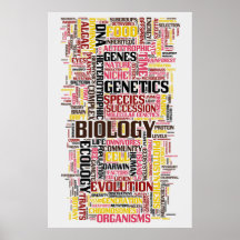 Trabalho Biológico N. º 11