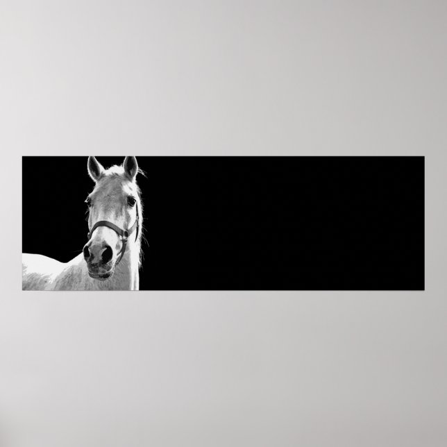 Póster Trabalho de arte de Cavalo Negro e Branco (Frente)