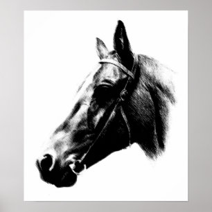 Póster Trabalho de arte de Desenho de Cavalo Branco Negro