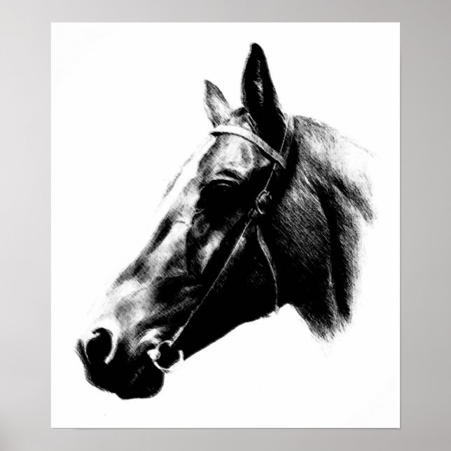 Póster Trabalho de arte de Desenho de Cavalo Branco Negro (Frente)