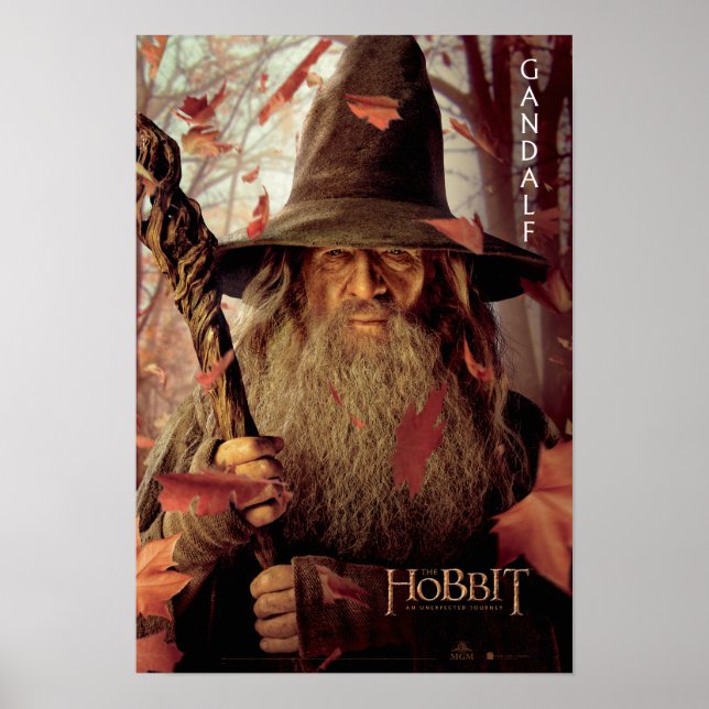Póster Trabalho de arte de Edição Limitada: Gandalf (Frente)