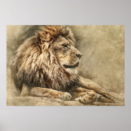 Póster Trabalho de arte de Foto Selvagem Selvagem de Lion