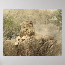 Trabalho de arte de Foto Selvagem Selvagem de Lion
