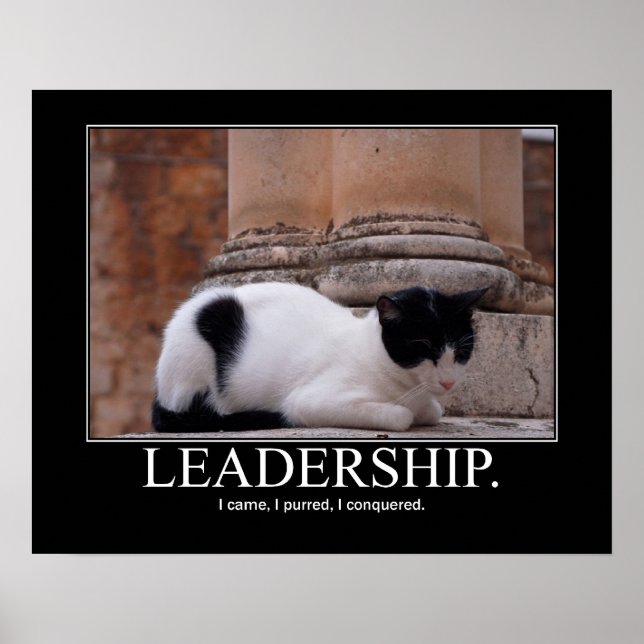 Poster Trabalho de arte de Leadership Cat (Frente)