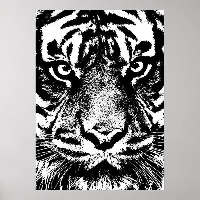 Poster Trabalho de arte de Olhos de Borneo Tiger Borneo W (Frente)