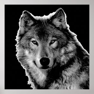 Póster Trabalho de arte do Lobo Negro e Branco
