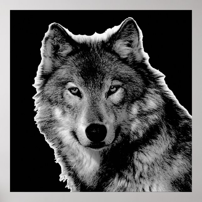 Póster Trabalho de arte do Lobo Negro e Branco (Frente)