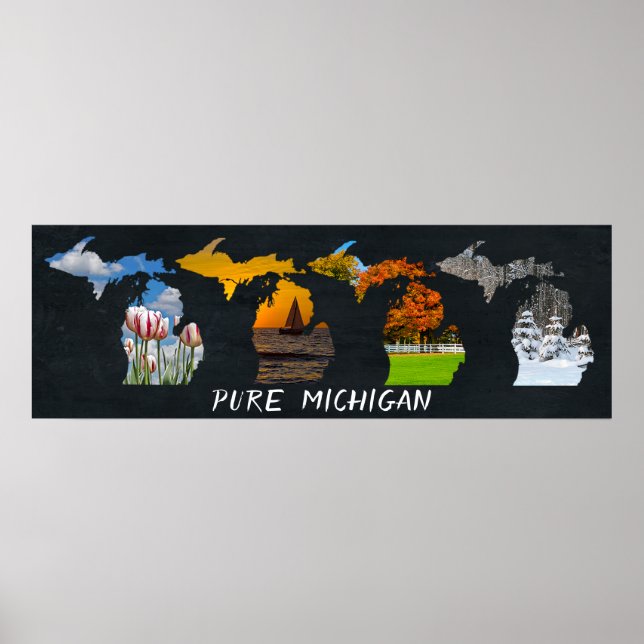 Poster Trabalho de arte Pure Michigan Seasons (Frente)