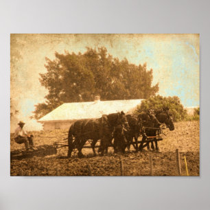 Póster Trabalho de campo