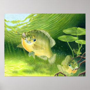 Poster Trabalhos de arte de vencimento por R. Nelson,